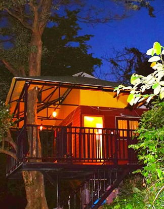 Munnar Tree House